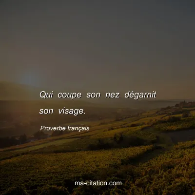 Proverbe franÃ§ais : Qui coupe son nez dÃ©garnit son visage.