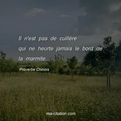 Proverbe Chinois : Il n'est pas de cuillÃ¨re qui ne heurte jamais le bord de la marmite.