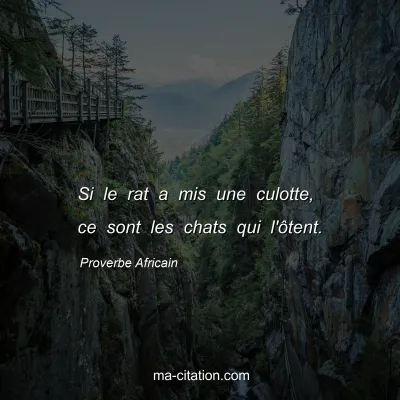 Proverbe Africain : Si le rat a mis une culotte, ce sont les chats qui l'Ã´tent.