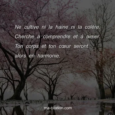 Ne cultive ni la haine ni la colÃ¨re. Cherche Ã  comprendre et Ã  aimer. Ton corps et ton cÅ“ur seront alors en harmonie.