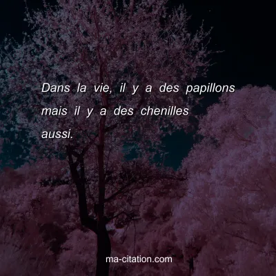 Dans la vie, il y a des papillons mais il y a des chenilles aussi.