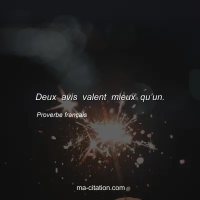 Proverbe franÃ§ais : Deux avis valent mieux quâ€™un.