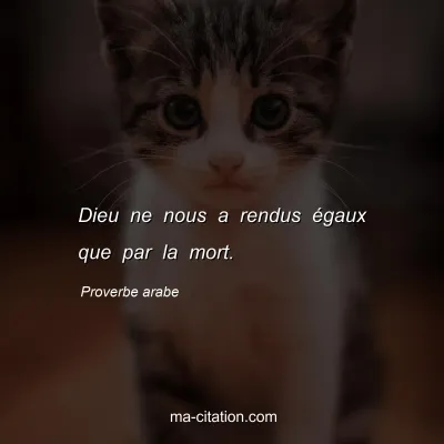 Proverbe arabe : Dieu ne nous a rendus Ã©gaux que par la mort.