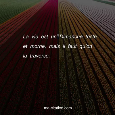 La vie est un Dimanche triste et morne, mais il faut quâ€™on la traverse.