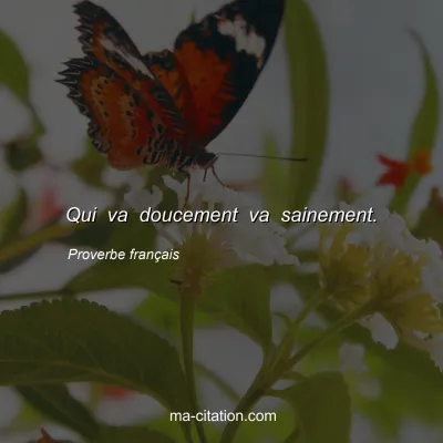 Proverbe franÃ§ais : Qui va doucement va sainement.