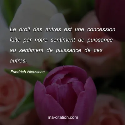 Friedrich Nietzsche : Le droit des autres est une concession faite par notre sentiment de puissance au sentiment de puissance de ces autres.
