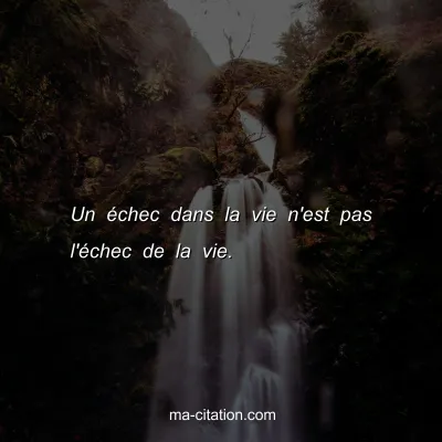 Un Ã©chec dans la vie n'est pas l'Ã©chec de la vie.