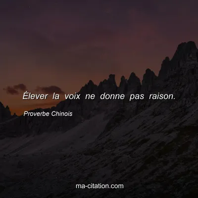 Proverbe Chinois : Ã‰lever la voix ne donne pas raison.