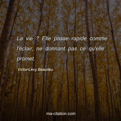 Victor-LÃ©vy Beaulieu : La vie ? Elle passe rapide comme l'Ã©clair, ne donnant pas ce qu'elle promet.