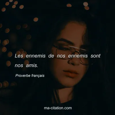 Proverbe franÃ§ais : Les ennemis de nos ennemis sont nos amis.