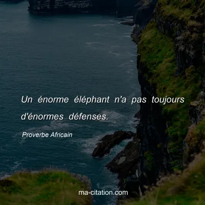 Proverbe Africain : Un Ã©norme Ã©lÃ©phant n'a pas toujours d'Ã©normes dÃ©fenses.