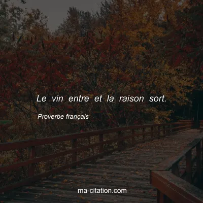 Proverbe franÃ§ais : Le vin entre et la raison sort.