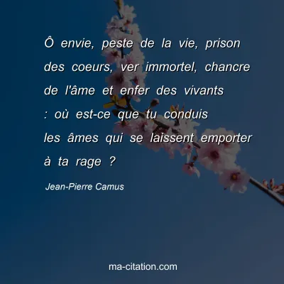 Jean-Pierre Camus : Ô envie, peste de la vie, prison des coeurs, ver immortel, chancre de l'âme et enfer des vivants : où est-ce que tu conduis les âmes qui se laissent emporter à ta rage ?