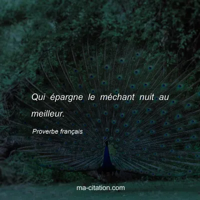 Proverbe franÃ§ais : Qui Ã©pargne le mÃ©chant nuit au meilleur.
