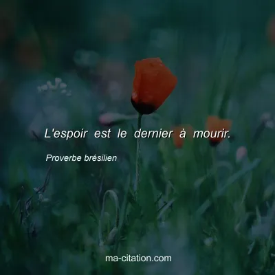 Proverbe brÃ©silien : L'espoir est le dernier Ã  mourir.
