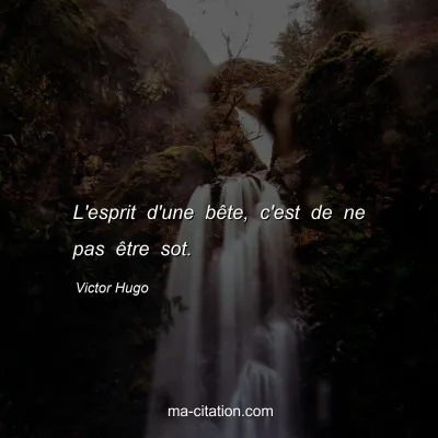 Victor Hugo : L'esprit d'une bête, c'est de ne pas être sot.
