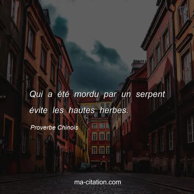Proverbe Chinois : Qui a Ã©tÃ© mordu par un serpent Ã©vite les hautes herbes.