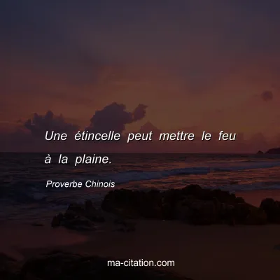 Proverbe Chinois : Une Ã©tincelle peut mettre le feu Ã  la plaine.