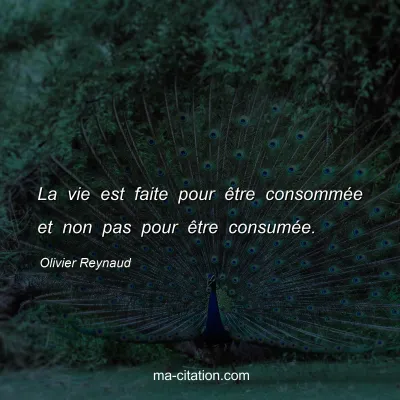 Olivier Reynaud : La vie est faite pour être consommée et non pas pour être consumée.