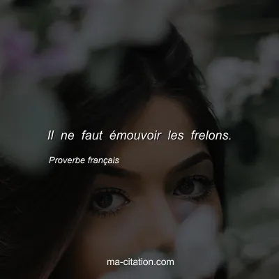 Proverbe franÃ§ais : Il ne faut Ã©mouvoir les frelons.