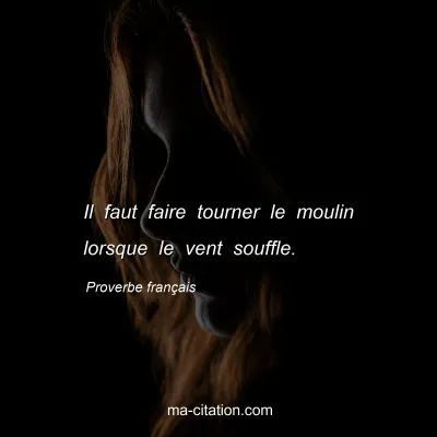Proverbe franÃ§ais : Il faut faire tourner le moulin lorsque le vent souffle.