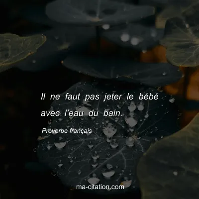 Proverbe franÃ§ais : Il ne faut pas jeter le bÃ©bÃ© avec lâ€™eau du bain.
