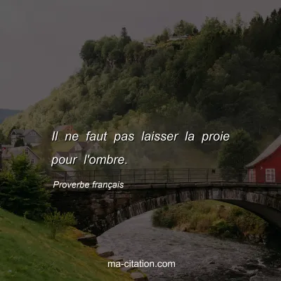 Proverbe franÃ§ais : Il ne faut pas laisser la proie pour l'ombre.