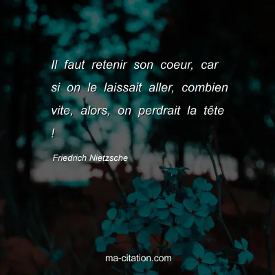 Friedrich Nietzsche : Il faut retenir son coeur, car si on le laissait aller, combien vite, alors, on perdrait la tÃªte !