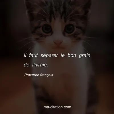 Proverbe franÃ§ais : Il faut sÃ©parer le bon grain de lâ€™ivraie.