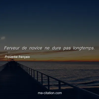 Proverbe franÃ§ais : Ferveur de novice ne dure pas longtemps.