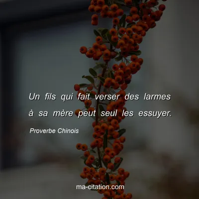 Proverbe Chinois : Un fils qui fait verser des larmes Ã  sa mÃ¨re peut seul les essuyer.