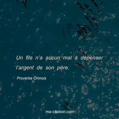Proverbe Chinois : Un fils nâ€™a aucun mal Ã  dÃ©penser lâ€™argent de son pÃ¨re.