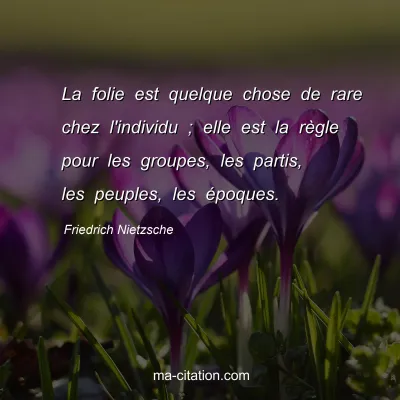 Friedrich Nietzsche : La folie est quelque chose de rare chez l'individu ; elle est la rÃ¨gle pour les groupes, les partis, les peuples, les Ã©poques.