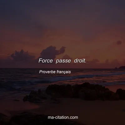 Proverbe franÃ§ais : Force passe droit.