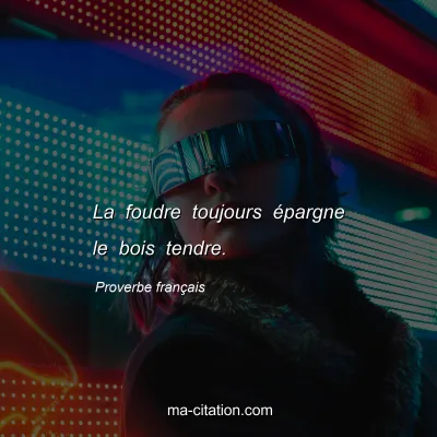 Proverbe franÃ§ais : La foudre toujours Ã©pargne le bois tendre.
