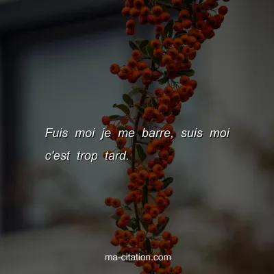 Fuis moi je me barre, suis moi c'est trop tard.