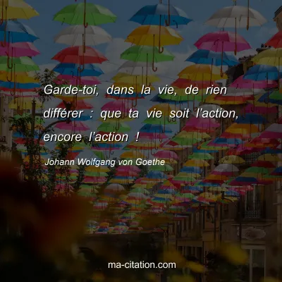Johann Wolfgang von Goethe : Garde-toi, dans la vie, de rien diffÃ©rer : que ta vie soit lâ€™action, encore lâ€™action !