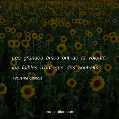 Proverbe Chinois : Les grandes Ã¢mes ont de la volontÃ©, les faibles n'ont que des souhaits.