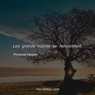 Proverbe franÃ§ais : Les grands esprits se rencontrent.