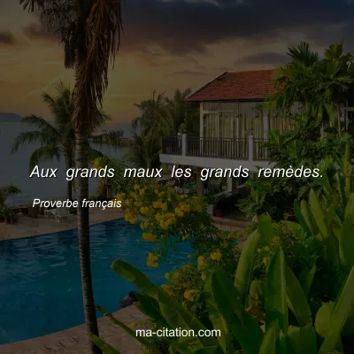 Proverbe franÃ§ais : Aux grands maux les grands remÃ¨des.