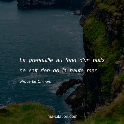 Proverbe Chinois : La grenouille au fond d'un puits ne sait rien de la haute mer.