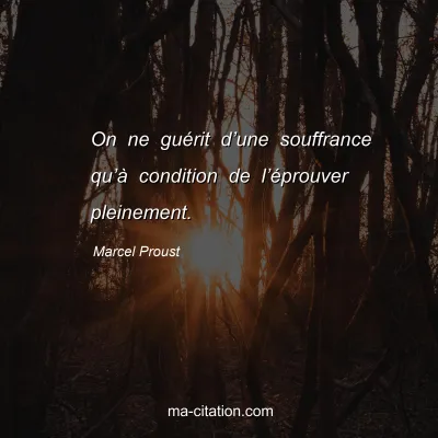 Marcel Proust : On ne guérit d’une souffrance qu’à condition de l’éprouver pleinement.