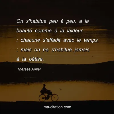 Thérèse Amiel : On s'habitue peu à peu, à la beauté comme à la laideur : chacune s'affadit avec le temps ; mais on ne s'habitue jamais à la bêtise.