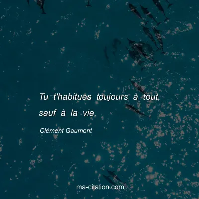Clément Gaumont : Tu t'habitues toujours à tout, sauf à la vie.
