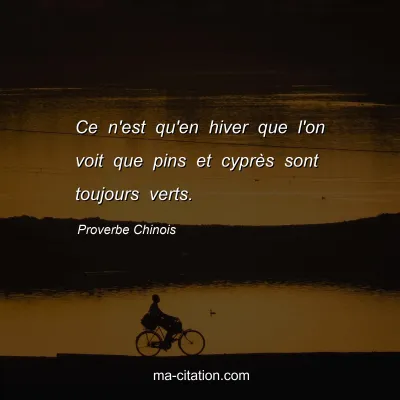 Proverbe Chinois : Ce n'est qu'en hiver que l'on voit que pins et cyprÃ¨s sont toujours verts.