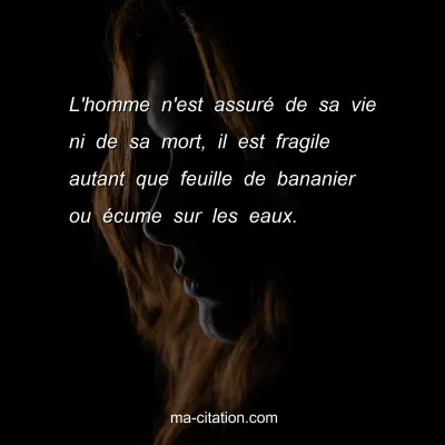 L'homme n'est assurÃ© de sa vie ni de sa mort, il est fragile autant que feuille de bananier ou Ã©cume sur les eaux.