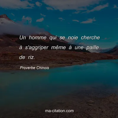 Proverbe Chinois : Un homme qui se noie cherche Ã  s'aggriper mÃªme Ã  une paille de riz.