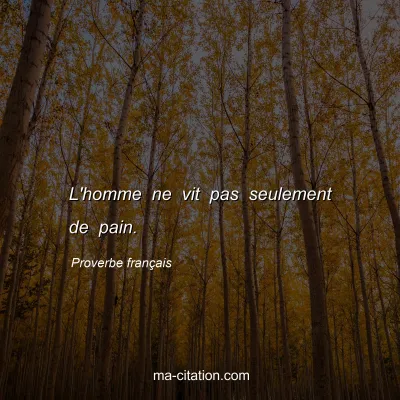 Proverbe franÃ§ais : L'homme ne vit pas seulement de pain.
