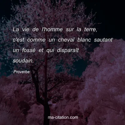 Proverbe : La vie de l'homme sur la terre, c'est comme un cheval blanc sautant un fossÃ© et qui disparaÃ®t soudain.