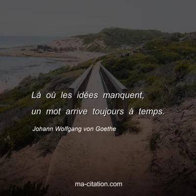 Johann Wolfgang von Goethe : LÃ  oÃ¹ les idÃ©es manquent, un mot arrive toujours Ã  temps.